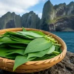 해풍을 맞고 자란 넓은 잎이 특징이다.(사진=AI 생성 이미지) 36kb