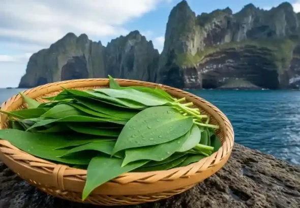 해풍을 맞고 자란 넓은 잎이 특징이다.(사진=AI 생성 이미지) 36kb