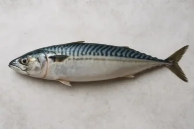 안동 간고등어가 유명해진 이유